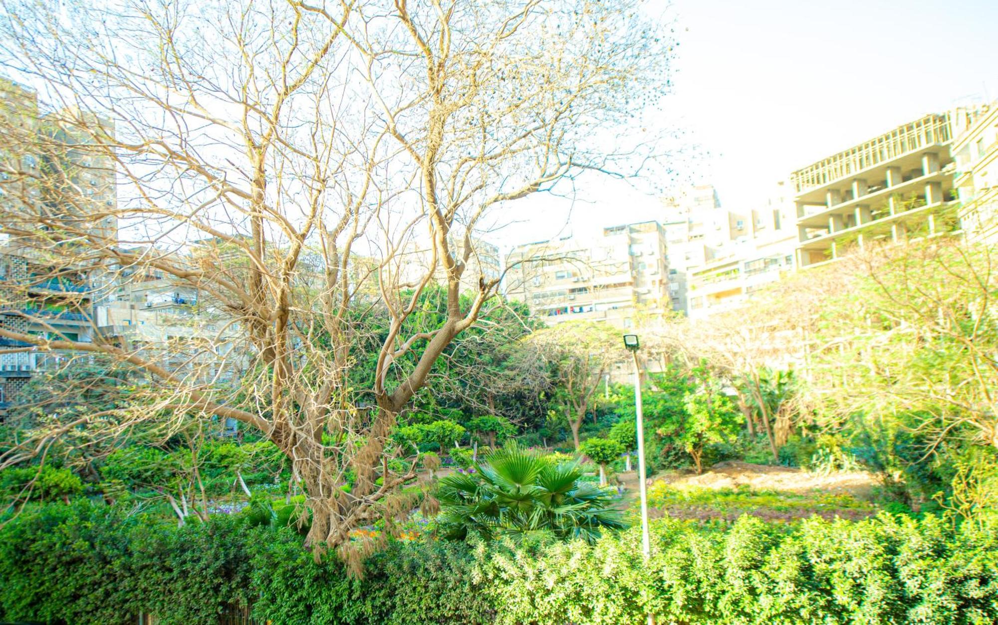 Elegance Tower Aparthotel Giza Exterior photo